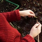 Empfindliche Pflanzenarten richtig kultivieren: Praktische Tipps von Norbert Seeger für sensible Sorten