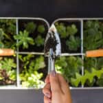 Mikroklima im Garten gezielt nutzen: Norbert Seeger berichtet über die Standortanalyse und Pflanzenauswahl