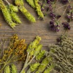 Wildkräuter integrieren: Norbert Seeger über ökologische und kulinarische Vorteile naturnaher Gartengestaltung